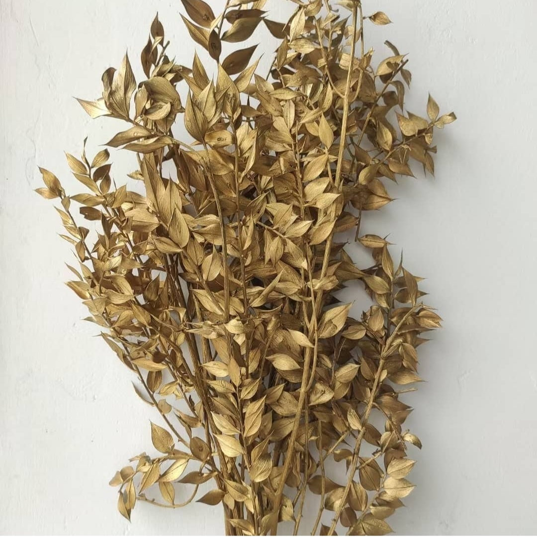 Ruscus