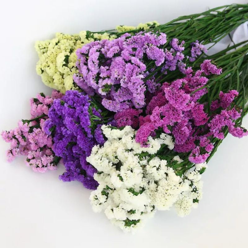 DIY Dried Flowers Posy Kit