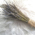 Dried Lavender